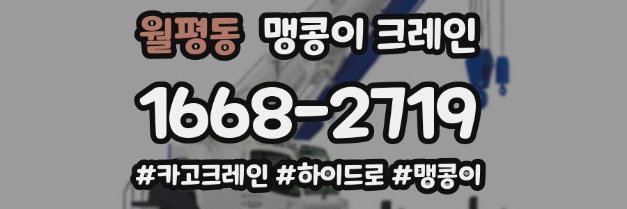 월평동 맹콩이 크레인
