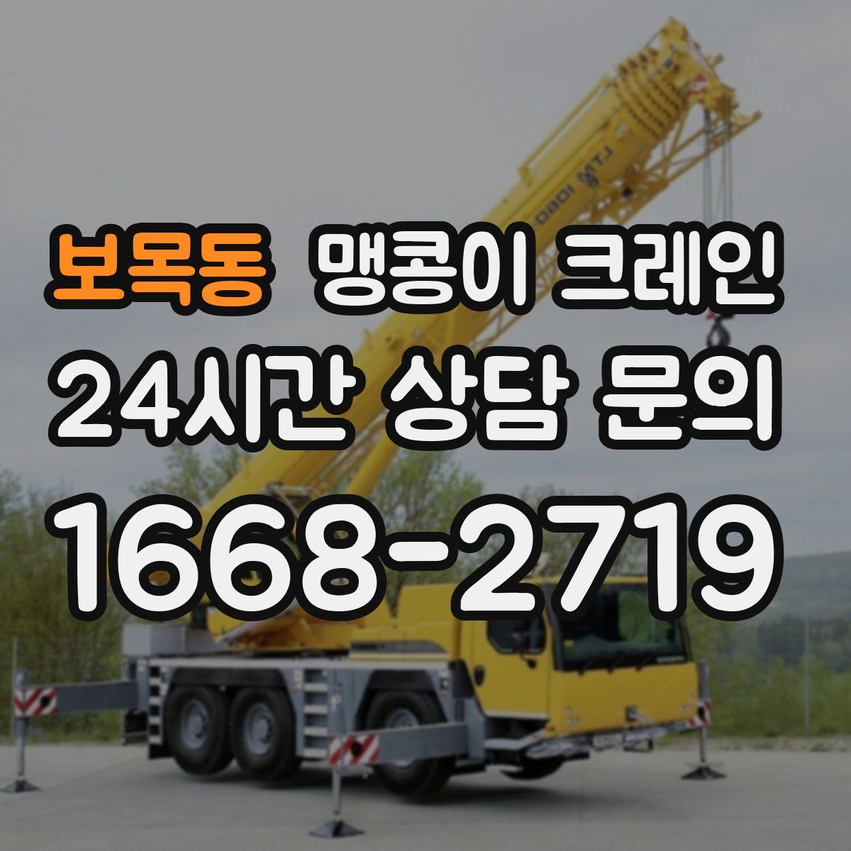 보목동 맹콩이 크레인