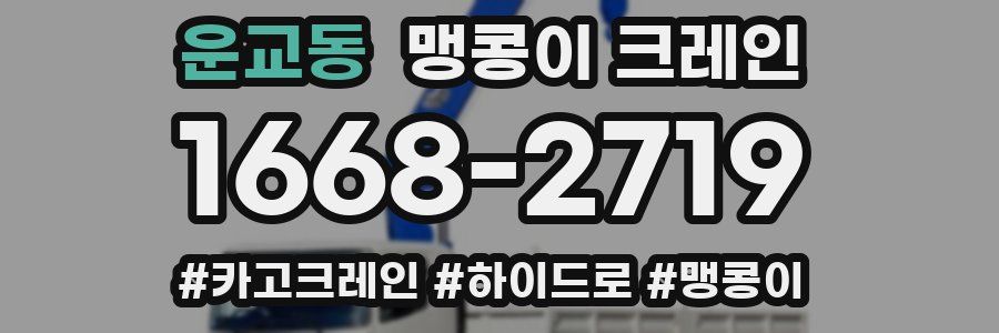 운교동 맹콩이 크레인