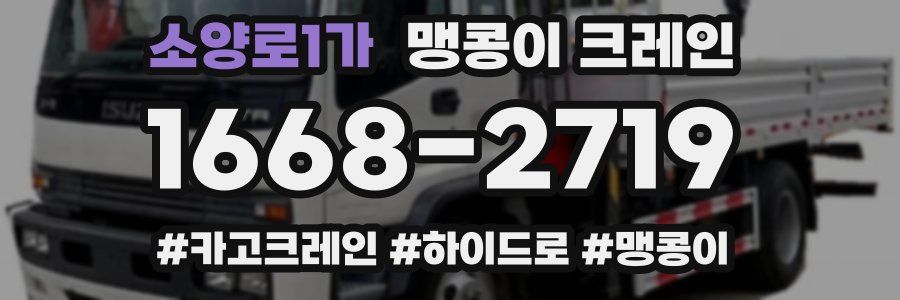 소양로1가 맹콩이 크레인