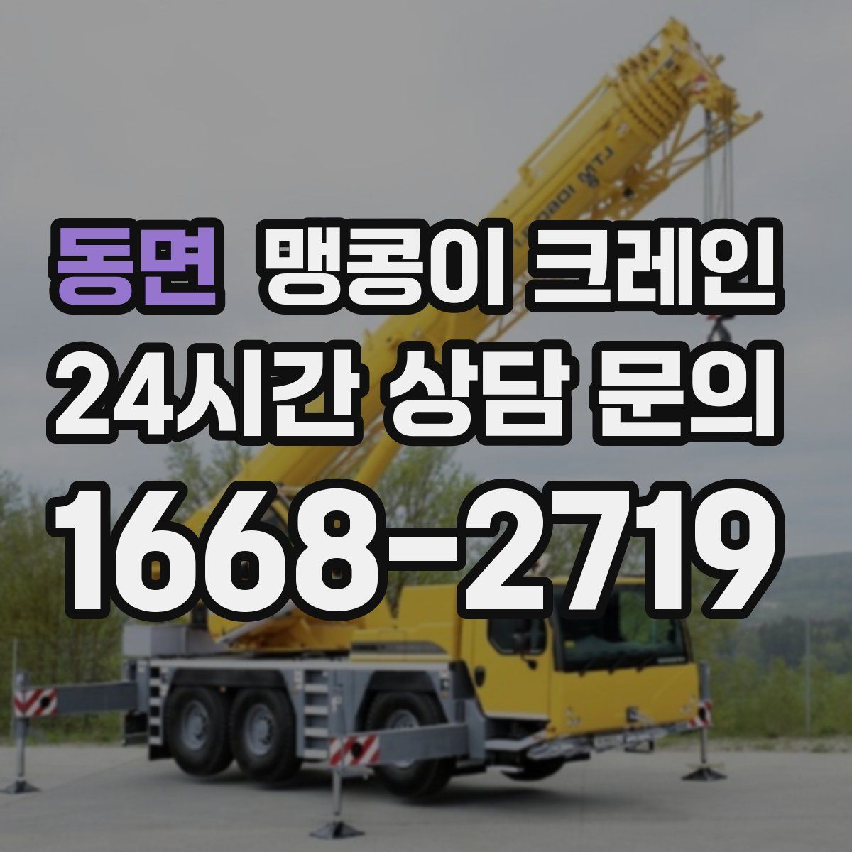 동면 맹콩이 크레인