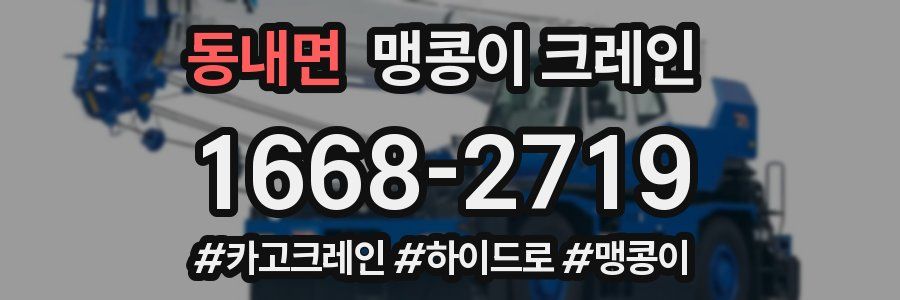 동내면 맹콩이 크레인