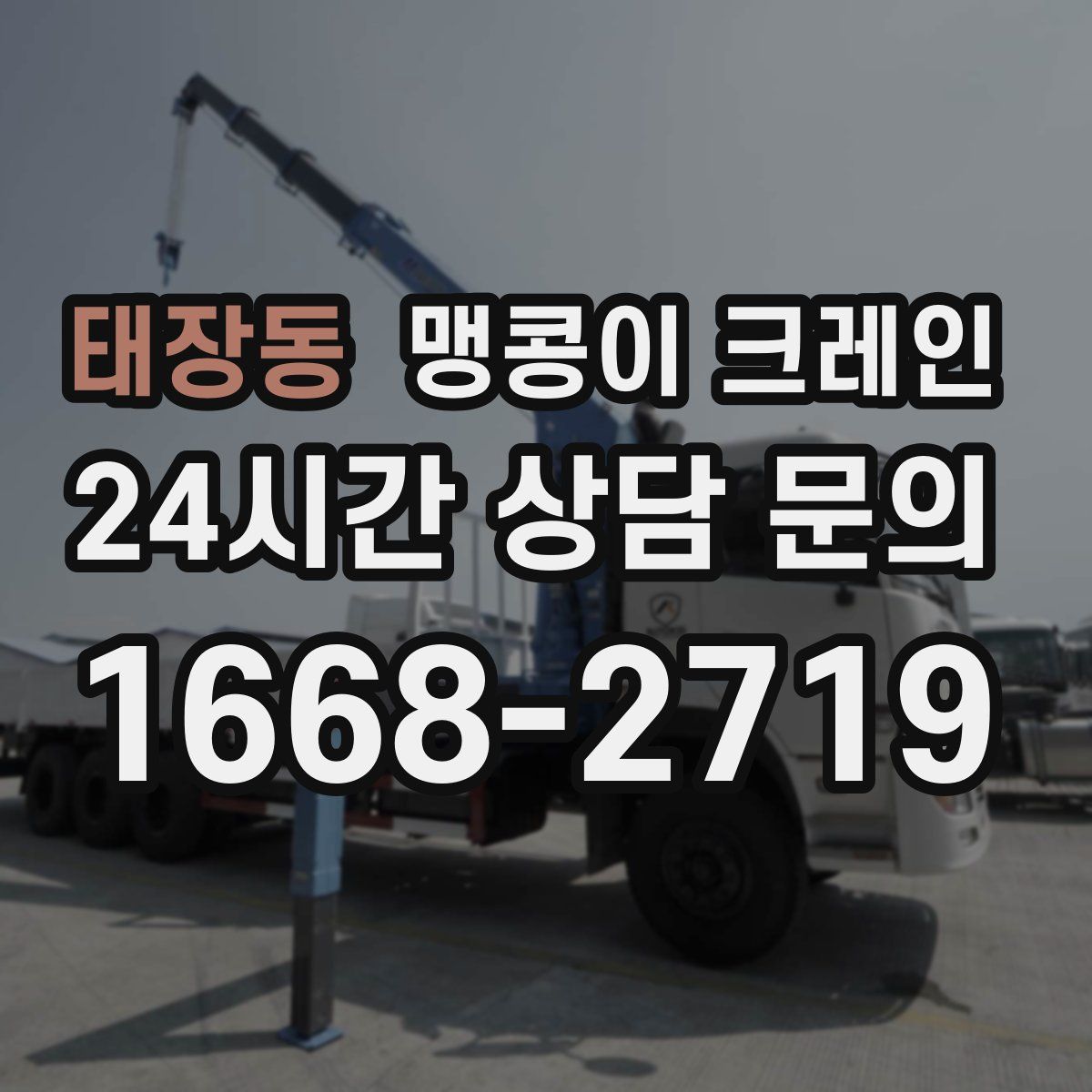 태장동 맹콩이 크레인