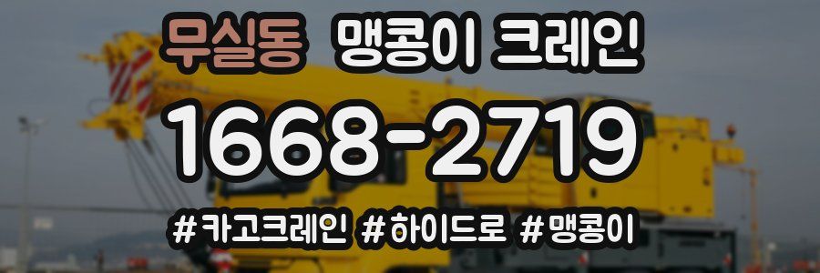 무실동 맹콩이 크레인