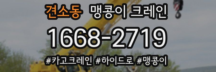 견소동 맹콩이 크레인