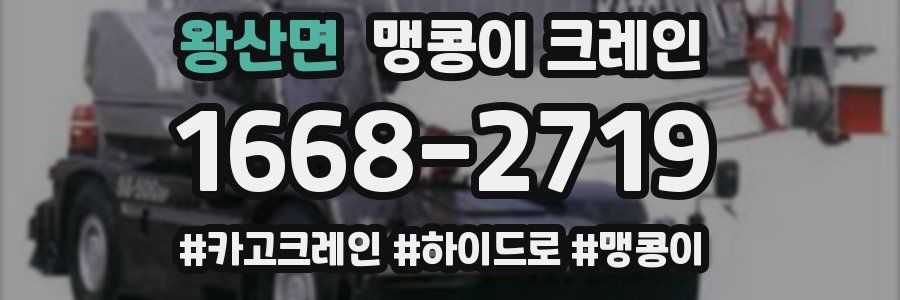 왕산면 맹콩이 크레인