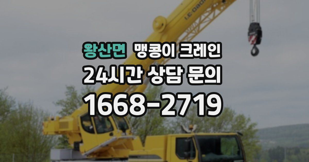 왕산면 맹콩이 크레인