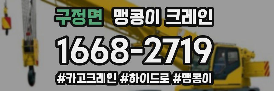 구정면 맹콩이 크레인