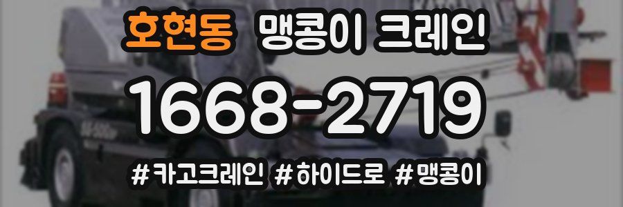 호현동 맹콩이 크레인