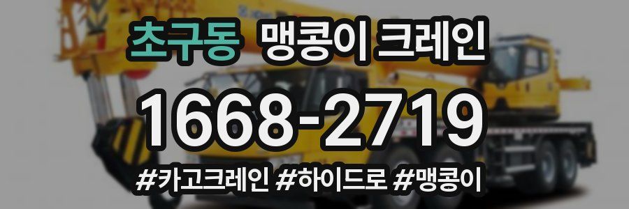 초구동 맹콩이 크레인