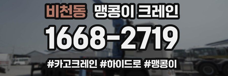 비천동 맹콩이 크레인