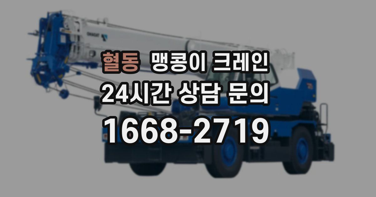 혈동 맹콩이 크레인