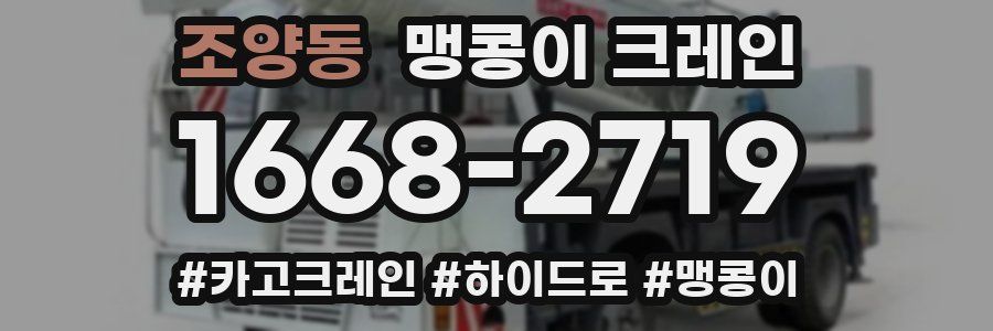 조양동 맹콩이 크레인