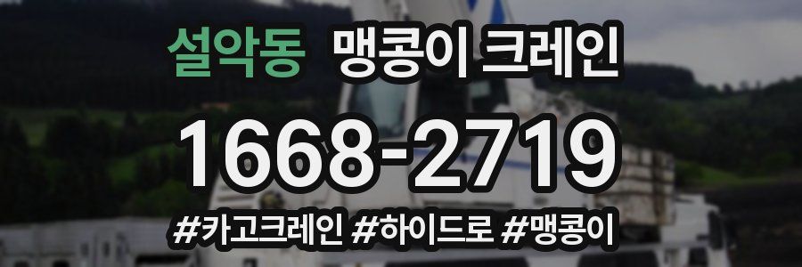 설악동 맹콩이 크레인