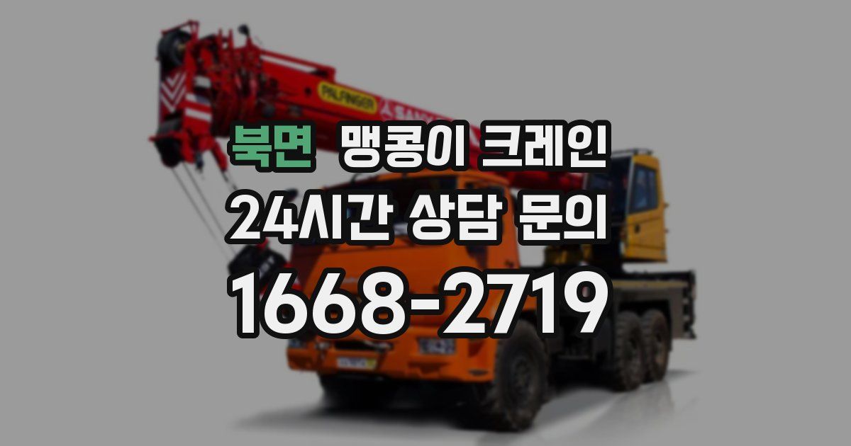 북면 맹콩이 크레인