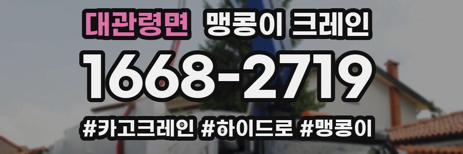 대관령면 맹콩이 크레인