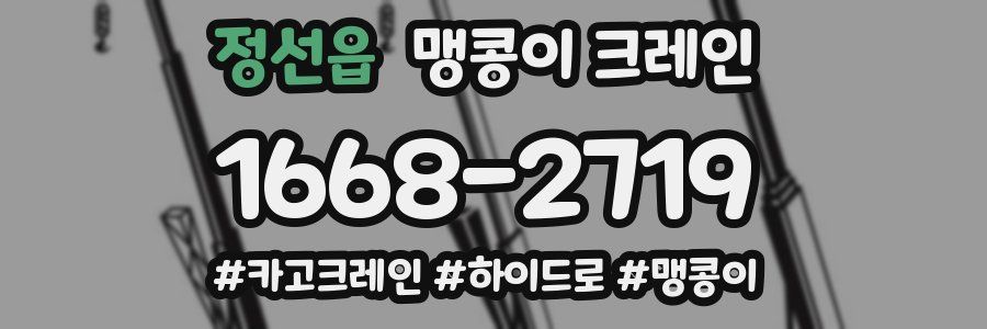 정선읍 맹콩이 크레인