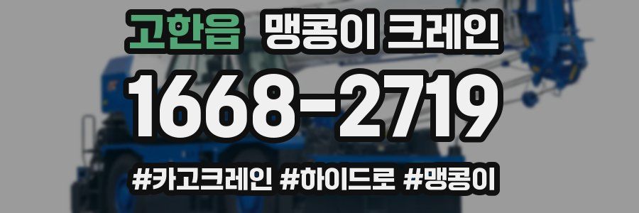 고한읍 맹콩이 크레인