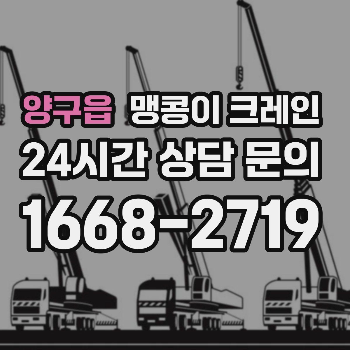 양구읍 맹콩이 크레인 종일 작업이 필요한 케이스 정리
