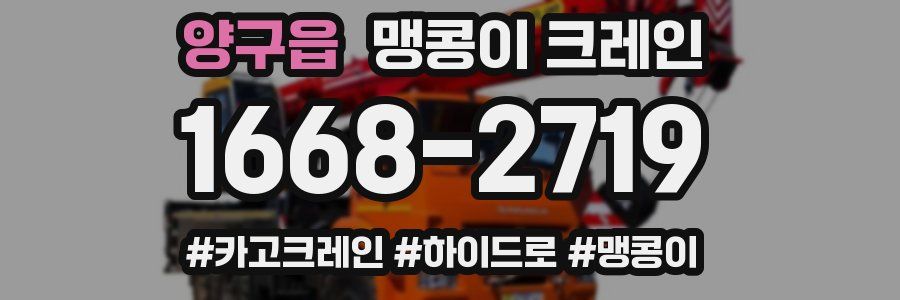 양구읍 맹콩이 크레인