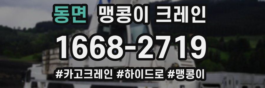 동면 맹콩이 크레인