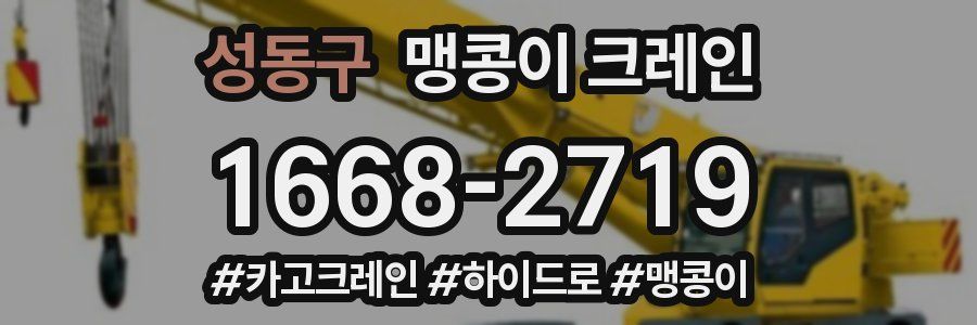성동구 맹콩이 크레인
