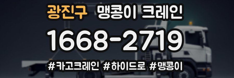 광진구 맹콩이 크레인