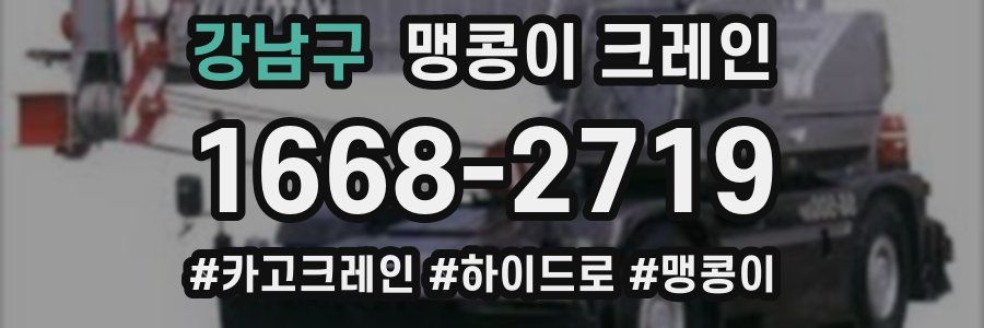 강남구 맹콩이 크레인