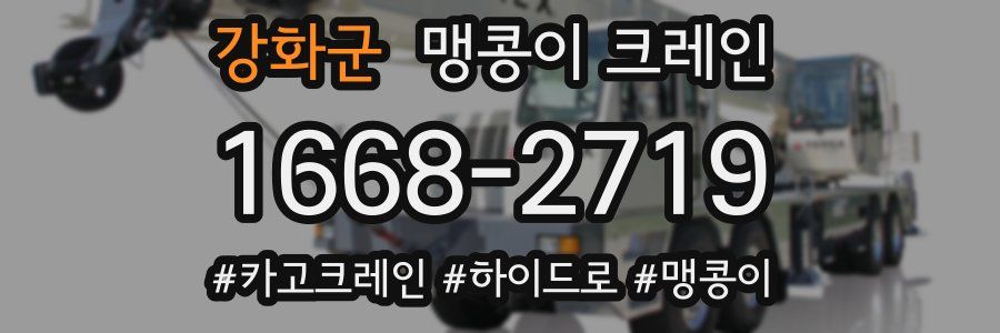 강화군 맹콩이 크레인