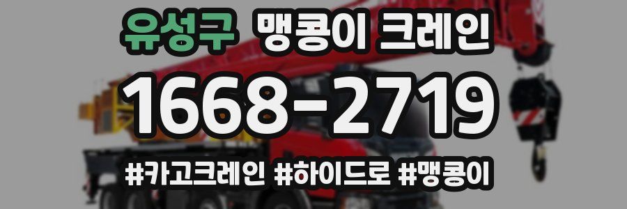 유성구 맹콩이 크레인