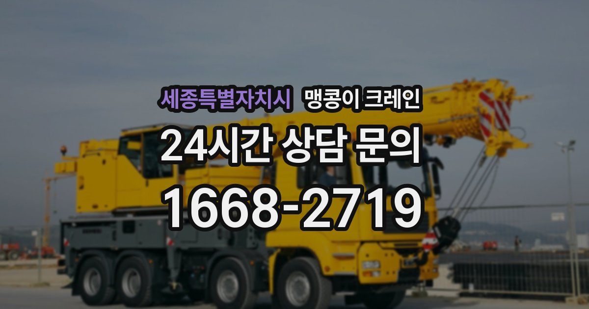 세종특별자치시 맹콩이 크레인