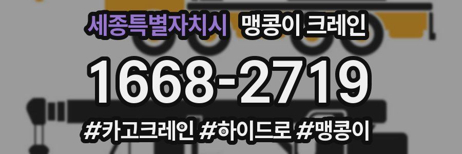 세종특별자치시 맹콩이 크레인