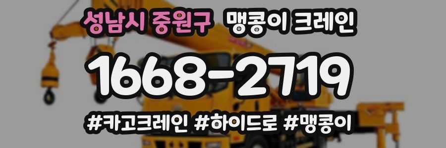 성남시 중원구 맹콩이 크레인
