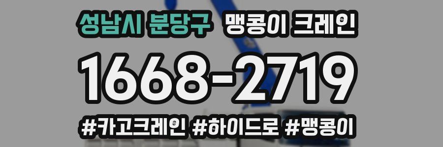 성남시 분당구 맹콩이 크레인