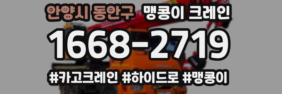 안양시 동안구 맹콩이 크레인