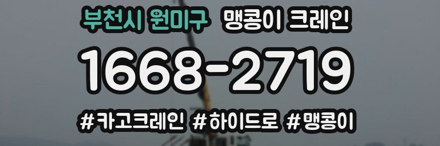 부천시 원미구 맹콩이 크레인