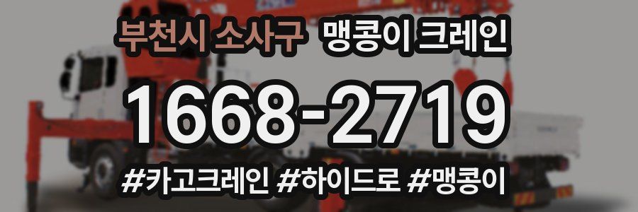 부천시 소사구 맹콩이 크레인