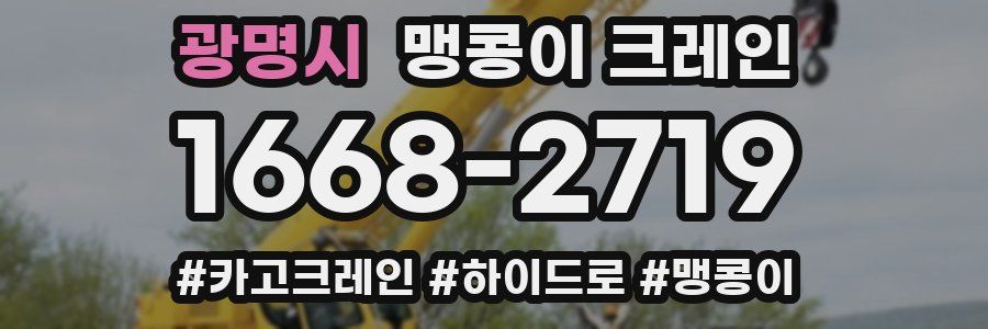 광명시 맹콩이 크레인