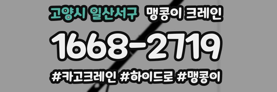 고양시 일산서구 맹콩이 크레인