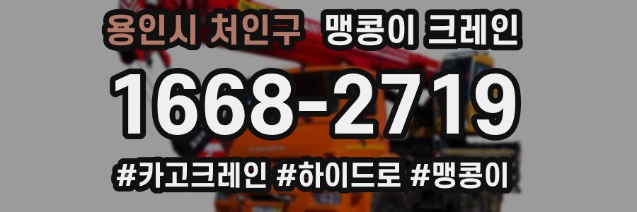 용인시 처인구 맹콩이 크레인