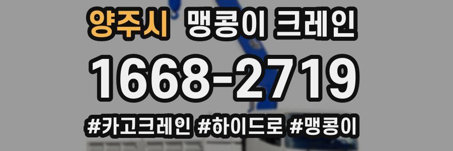 양주시 맹콩이 크레인