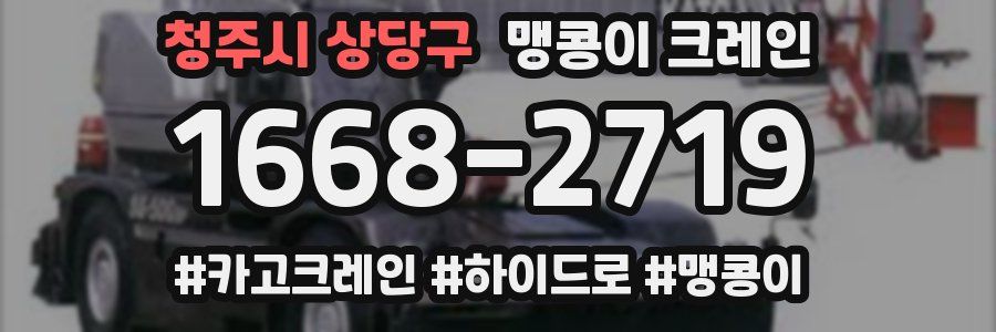 청주시 상당구 맹콩이 크레인