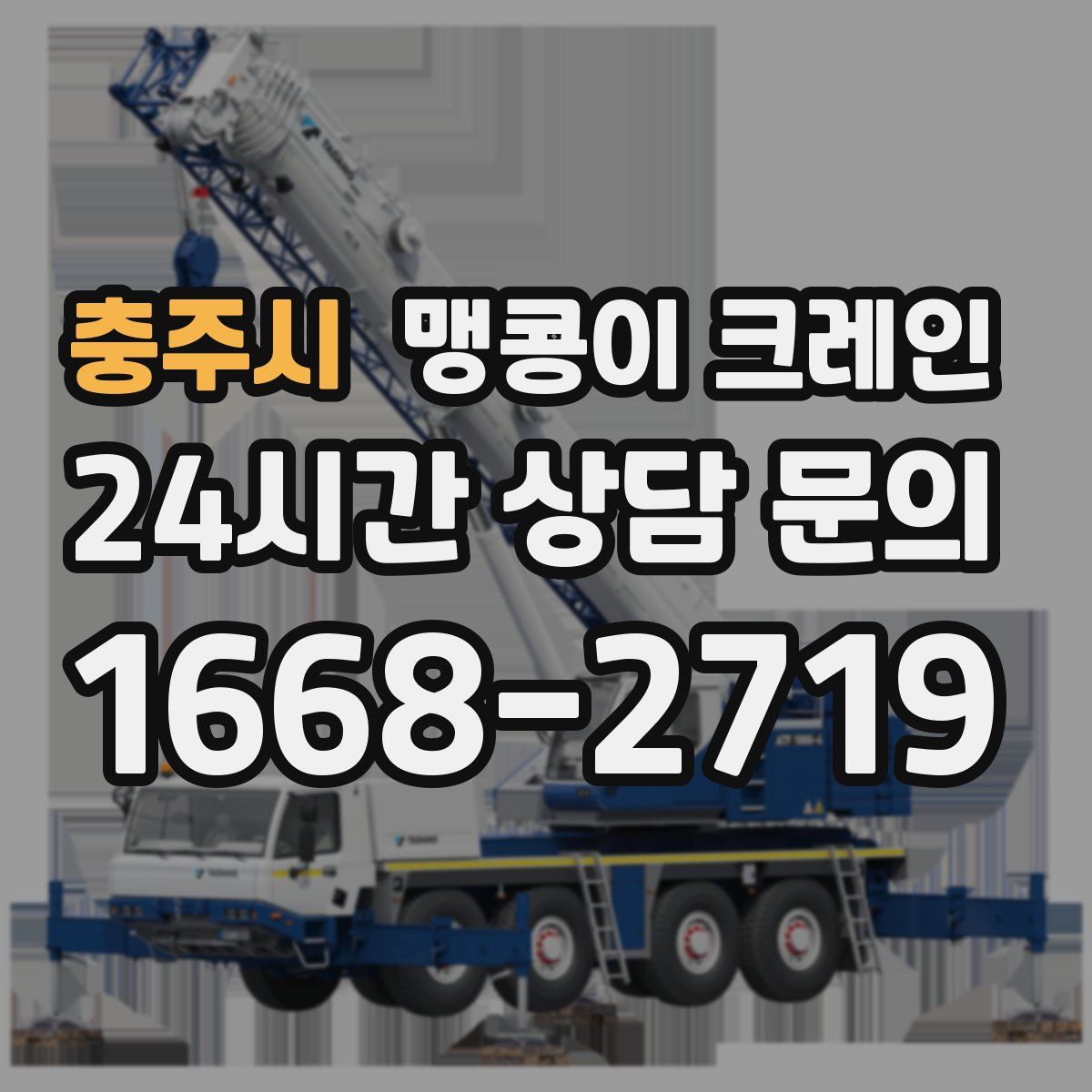 충주시 맹콩이 크레인