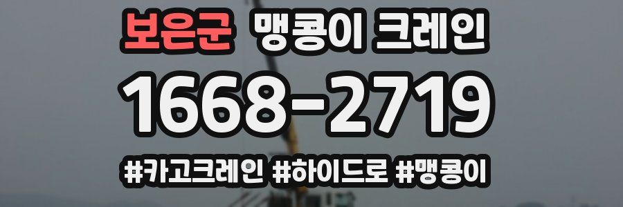 보은군 맹콩이 크레인