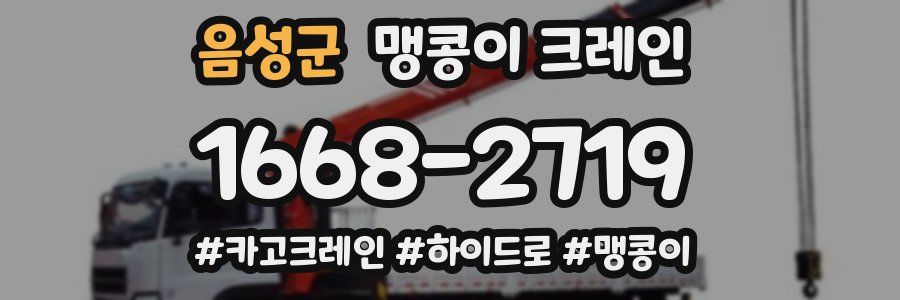 음성군 맹콩이 크레인