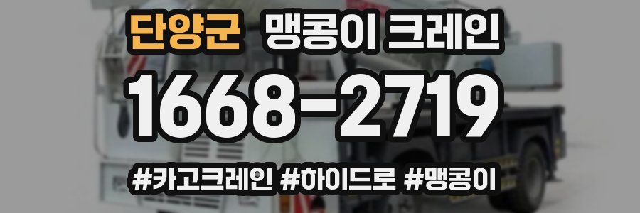 단양군 맹콩이 크레인