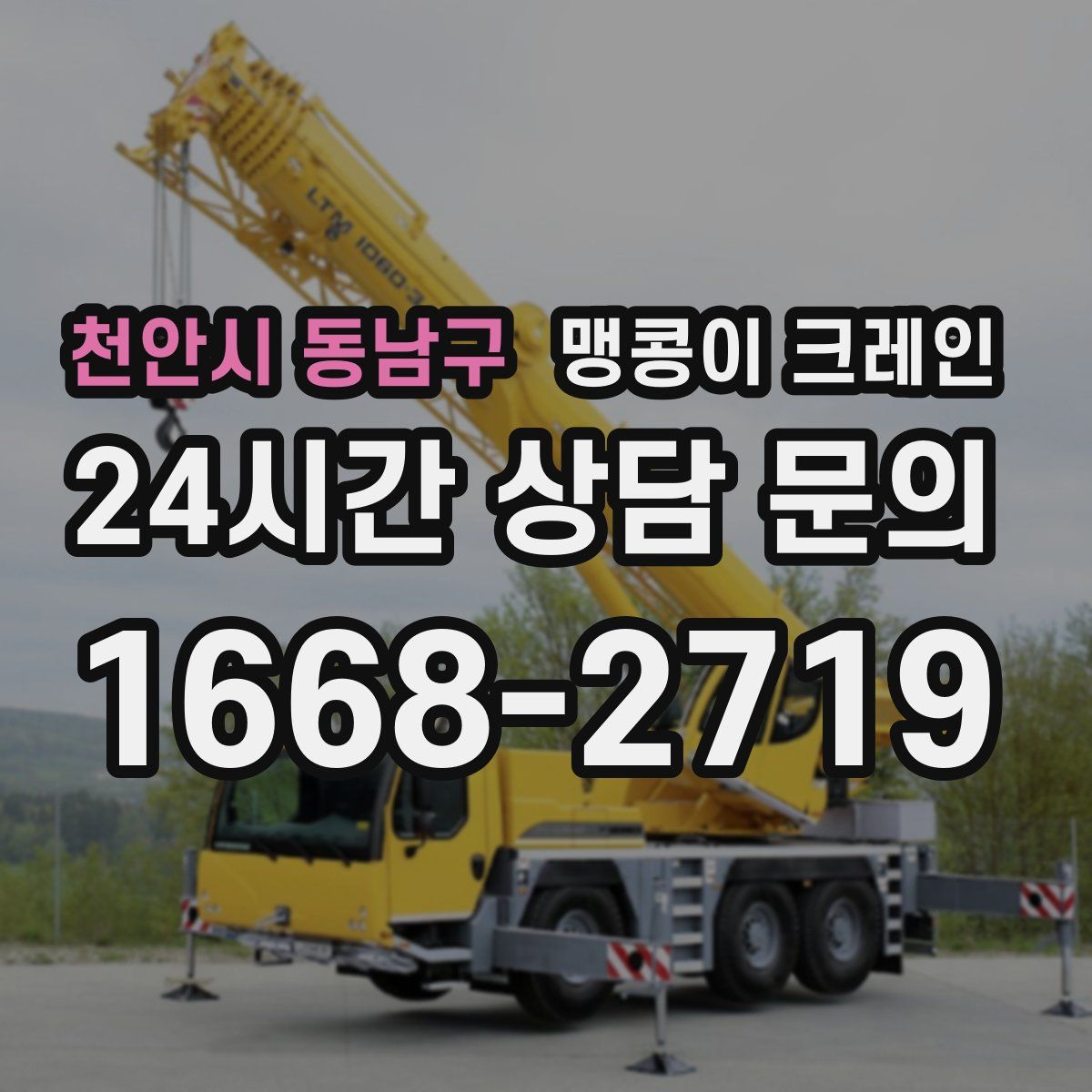 천안시 동남구 맹콩이 크레인