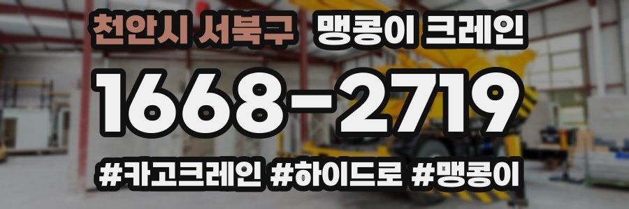 천안시 서북구 맹콩이 크레인