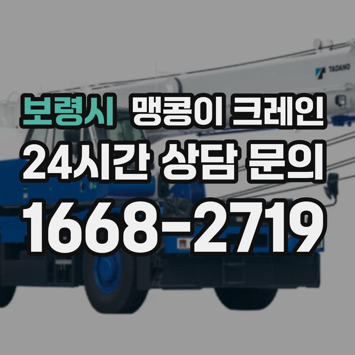 보령시 맹콩이 크레인