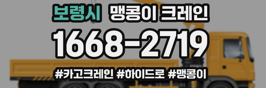 보령시 맹콩이 크레인